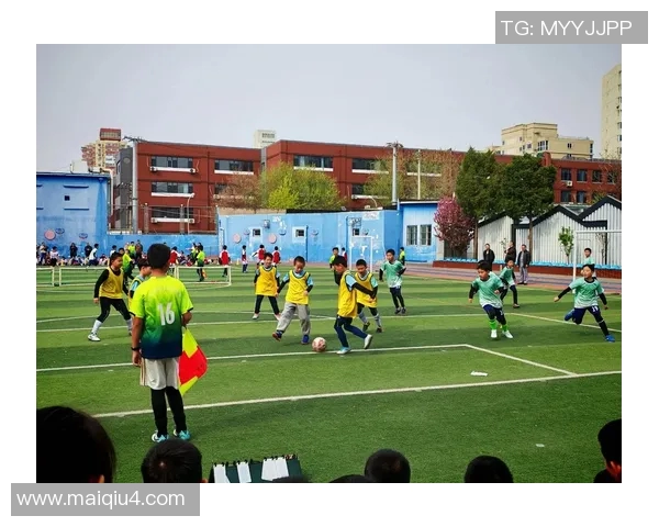 足球踢足球的魅力与技巧探讨让我们一起领略这项运动的无限精彩与激情